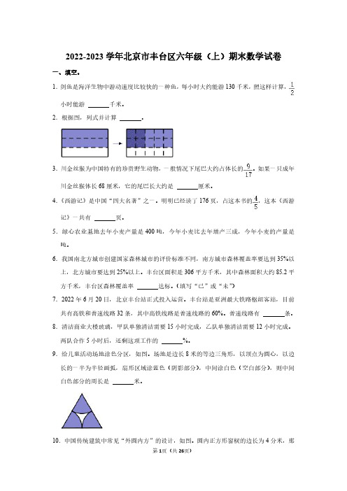 北京市丰台区2022-2023学年六年级上学期期末数学试卷(含答案解析)