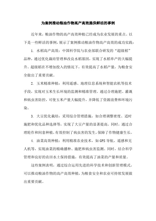 为案例推动粮油作物高产高效提供鲜活的事例