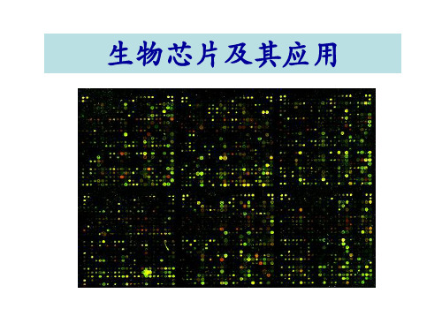 7 基因芯片