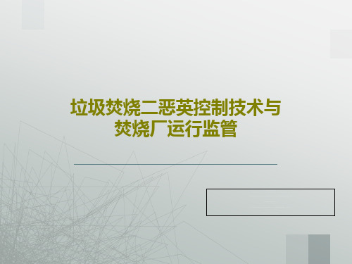 垃圾焚烧二恶英控制技术与焚烧厂运行监管86页PPT