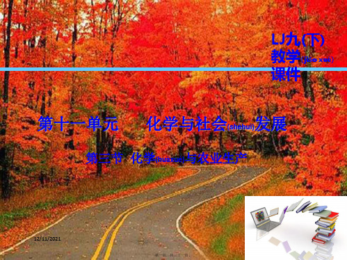 九年级化学下册第11单元化学与社会发展第3节化学与农业生产