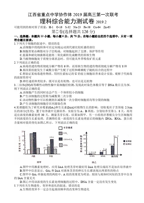 2019届高三高考第一次模拟考试理科综合试题及答案