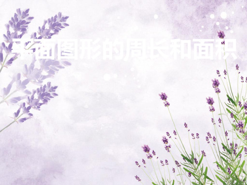 平面图形的周长和面积中小学PPT教学课件