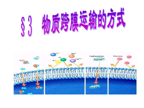 高中生物必修1《第2章细胞的化学组成第3节生命之本——生物大分子二核酸》282北师大PPT课件