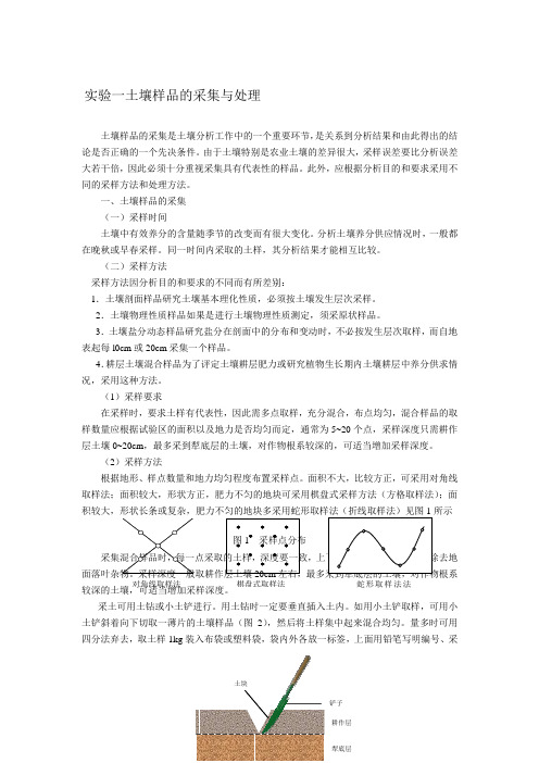 土壤样品采集与处理实验报告