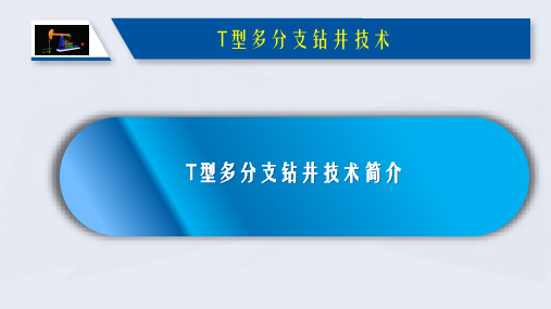 简单讲什么是：T型多分支钻孔