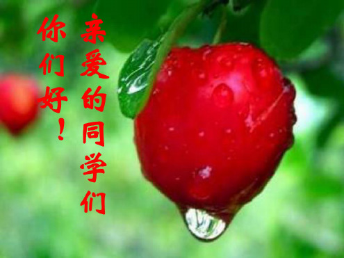 八年级政治信任无价1