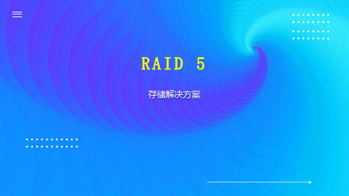 RAID 5