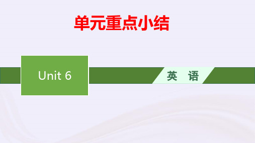 新教材适用高中英语Unit6TheAdmirable单元重点小结pptx课件北师大版必修第二册