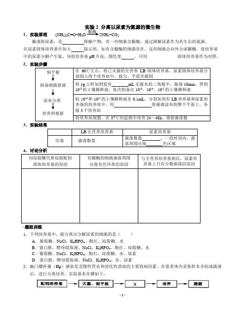 高中生物选修1生物技术实践学案 实验2  分离以尿素为氮源的微生物