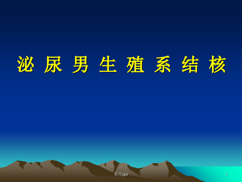 外科学重点笔记泌尿系统结核