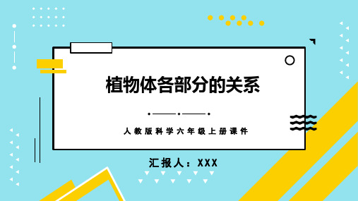 人教版科学六年级上册课件植物体各部分的关系PPT模板