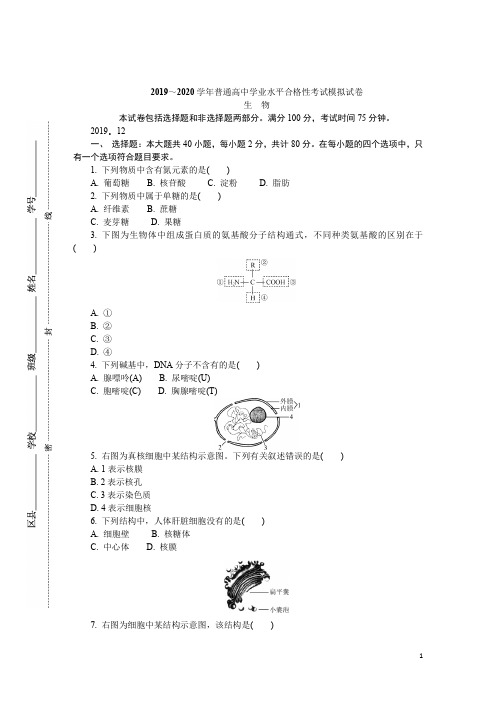 江苏省盐城市高二学业水平合格性考试模拟试题  生物