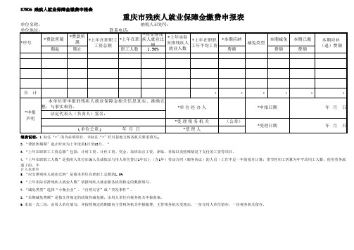 残保金申报表