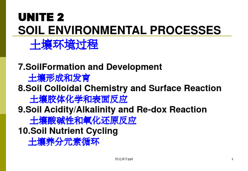 《土壤形成和发育》PPT课件