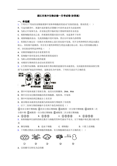 湛江市高中生物必修一月考试卷(含答案)