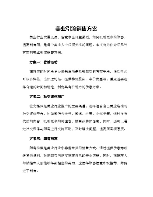 美业引流销售方案