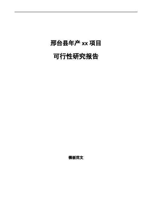 邢台县项目可行性研究报告通用模板