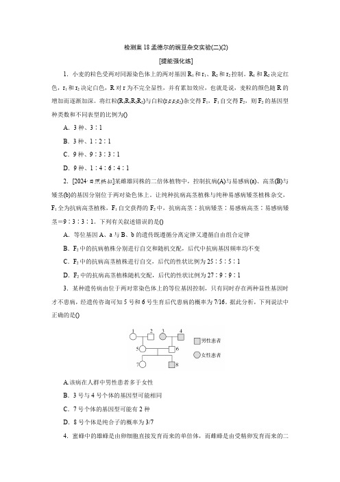 2025届高考生物复习检测案18孟德尔的豌豆杂交实验(二)(2)