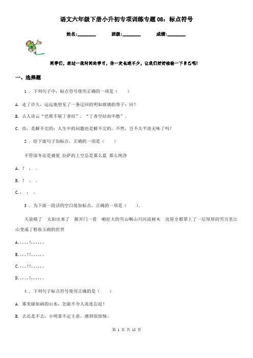 语文六年级下册小升初专项训练专题08:标点符号