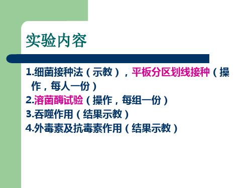 医学微生物学：本科实验2