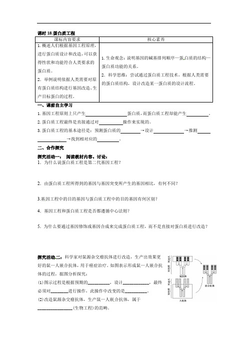 3.3蛋白质工程 学案2021-2022学年高二下学期生物苏教版选择性必修3