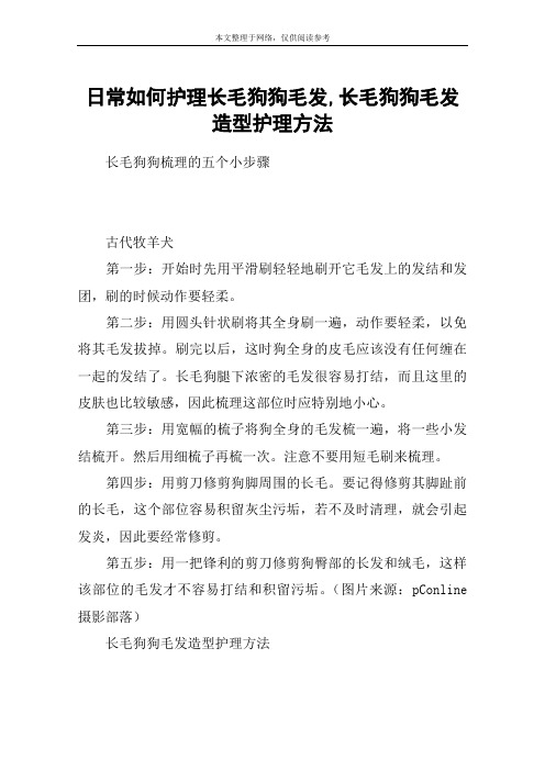 日常如何护理长毛狗狗毛发,长毛狗狗毛发造型护理方法