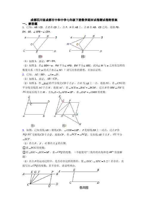 成都四川省成都市中和中学七年级下册数学期末试卷测试卷附答案