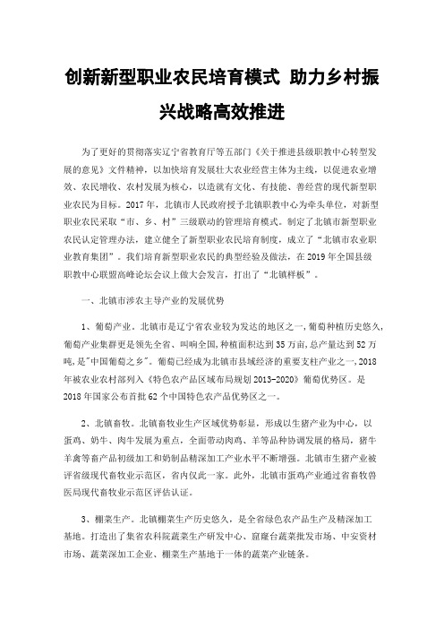 创新新型职业农民培育模式助力乡村振兴战略高效推进