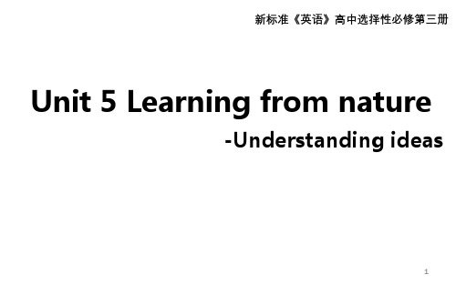 Unit5 Understandingideas课件-高中英语外研版选择性必修第三册