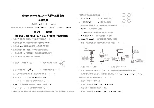 安徽省合肥市2019届高三第一次教学质量检测化学试题 及参考答案(范围：必修一、必修二及选修四全部内容)