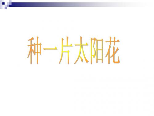 北师大版小学四年级下册语文《种一片太阳花》课件PPTPPT、优质教学课件