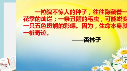 人教版四年级语文下册19课生命生命ppt课件