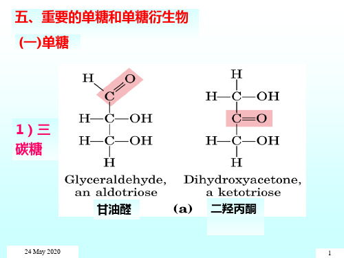 五、重要的单糖和单糖衍生物