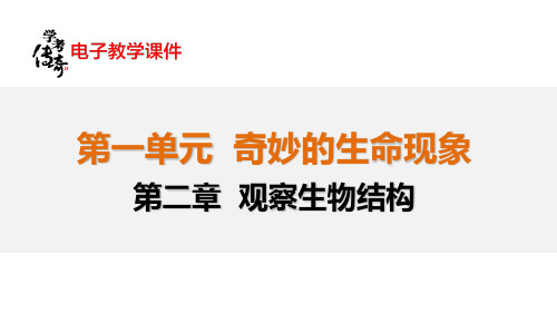 生物中考复习观察生物结构(共41张) (共41张)PPT课件