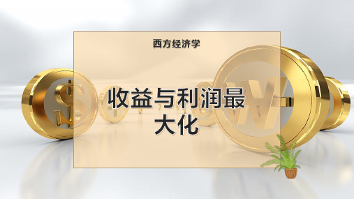 收益与利润最大化