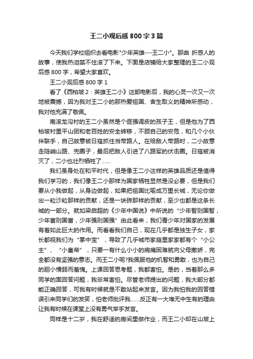 王二小观后感800字3篇