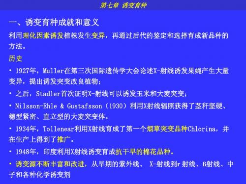 第7章 诱变育种07