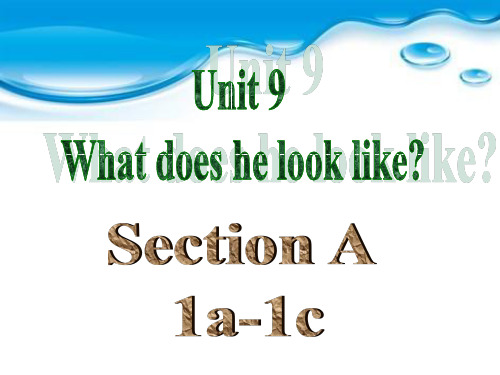 2013版七下册unit9what_does_he_look_like_sectionA(1a-1c)公开课课件