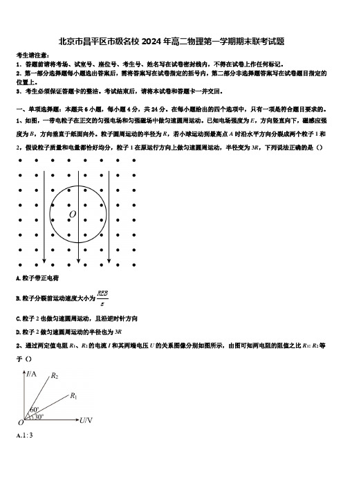 北京市昌平区市级名校2024年高二物理第一学期期末联考试题含解析