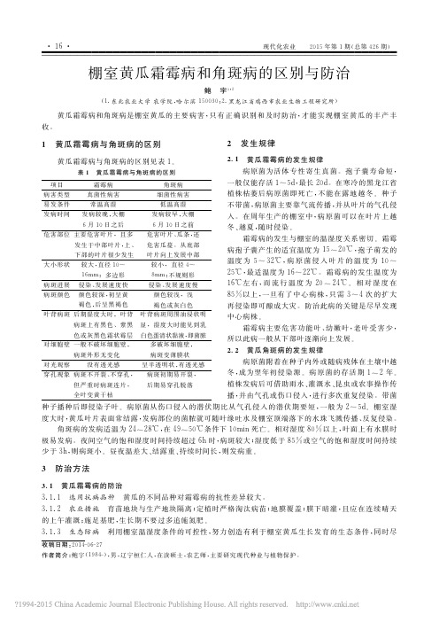 棚室黄瓜霜霉病和角斑病的区别与防治