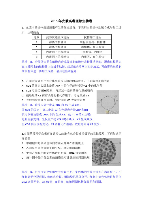 2015年安徽高考理综生物卷答案与解析