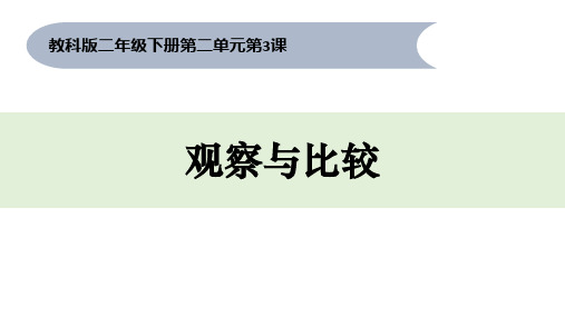 二年级下册科学课件   《观察与比较》1      教科版