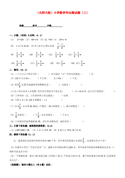 北师大版六年级数学小学毕业测试题(三)