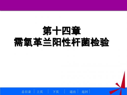 临床微生物学检验技术-第14章 需氧革兰阳性杆菌3-