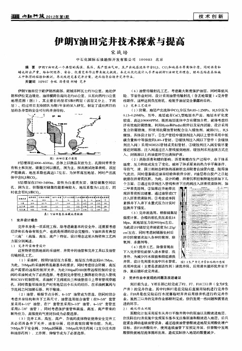 伊朗Y油田完井技术探索与提高