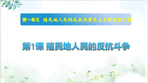 (部编)《殖民地人民的反抗斗争》ppt精选课件