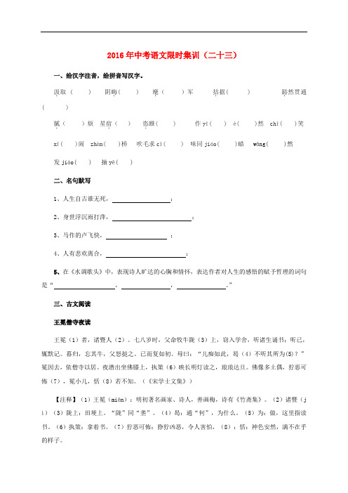 山西省太原北辰双语学校中考语文限时集训(二十三)