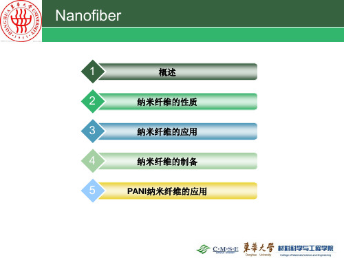 纳米纤维