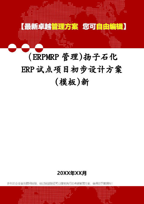 (ERPMRP管理)扬子石化ERP试点项目初步设计方案(模板)新